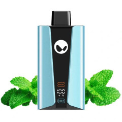 WAKA soPro 20000 - Мята